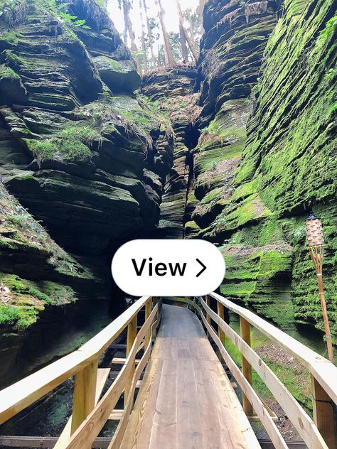 Lemon8 · 📍Witches Gulch - Dell Prairie, Wisconsin  · @Shaina Vanyo Witches Gulch, Secret Forest, Open App, Wisconsin, Witch, Forest, In This Moment, Sun, Photography