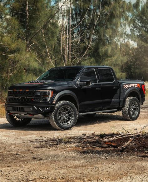 Ford Raptor Prerunner, Ford Raptor R, Raptor R, Ram Trx, Hoodoo Spells, F150 Raptor, Ford F150 Raptor, Skyline R34, Ford 4x4