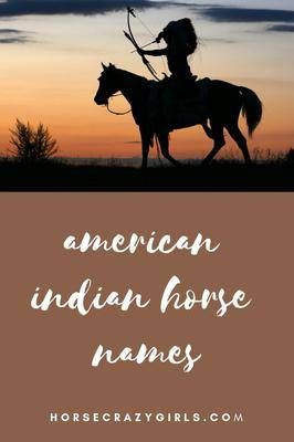 Native American Painted Horses, Western Horse Names, Indian Horse Tattoo, Horses Names, Best Horse Names, Native American Bow, Black Stallion Horse, Oc Names, American Stuff