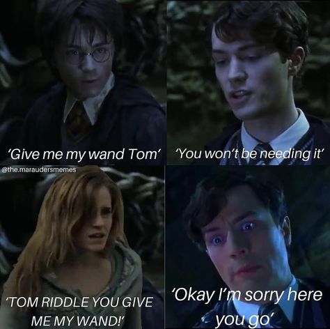 This Or That My Type Template Tiktok, Harry Potter Quotes Funny, Classe Harry Potter, Citate Harry Potter, Harry Potter Parody, Glume Harry Potter, Funny Harry Potter Jokes, Harry Potter Memes Hilarious, Harry Potter Feels