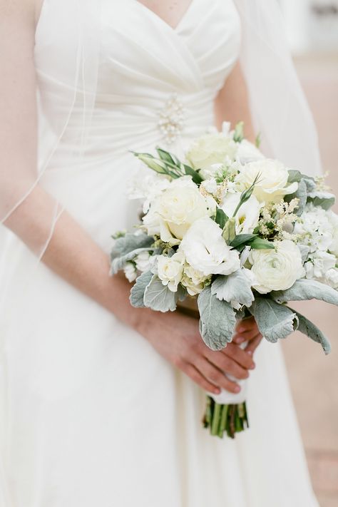 White Rose, Ranunculus and Dusty Miller Bouquet Winter Wedding Flower Arrangements, Dusty Miller Bouquet, Mississippi Wedding, Winter Wedding Flowers, Beautiful Bouquets, White Wedding Bouquets, Dusty Miller, Ole Miss, Wedding Flower Arrangements