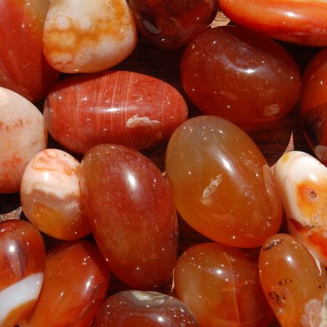 Natural Carnelian agate crystal tumbled stones from Madagascar.These Carnelian crystal tumbled stones are available in the following sizes:Small: .5 to .75 inchMedium: .75 to 1 inchesLarge: 1 to 1.25 inchesCarnelian is a Stone of Creativity. Stimulates inherent talents, bolsters courage. Excellent stone for public speaking. In confers eloquence and confidence. Assists in theatrical pursuits. Protects against envy, fear, and doubt. Stimulates libido.Chakra: Sacral ❤︎ Follow us on Instagram to kee Carnelian Stone Aesthetic, Carnillean Crystal, Carnelian Aesthetic, Gemstones Aesthetic, Crystal Carnelian, Crystals Aesthetic, Carnelian Agate, Crystal Aesthetic, Collage Art Projects