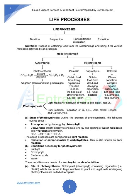 science class 10th chapter-Life Process Formula & Important points Science Formulas, Medical Terminology Study, Learn Biology, Chemistry Basics, Notes Life, Chemistry Education, Study Biology, Short Notes, Science Vocabulary