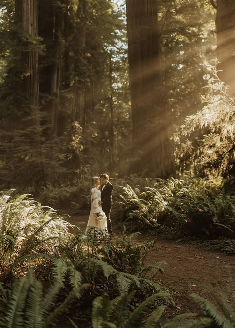 Red Woods Elopement, Woods Elopement Ceremony, Moody Forest Elopement, Red Wood Elopement, Mountain Elopement Decor, Lesbian Forest Elopement, Redwood National Park Elopement, Redwoods Couples Shoot, Fantasy Elopement