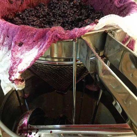 Straining cooked elderberries through cheese cloth to make elderberry syrup. Make Elderberry Syrup, Elderberry Syrup Recipe, Elderberry Juice, Homemade Condiments, Pressure Canner, Frozen Berries, Canning Lids, Elderberry Syrup, Canning Jars