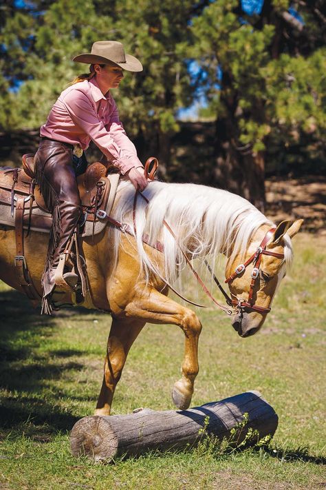 Bitless Horse Riding, Foal Training, Horse Safety, Natural Horsemanship Training, Working Cow Horse, Horse Magazine, Bitless Bridle, Natural Horsemanship, Reference Pics