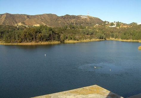 Lake Hollywood Park Los Angeles - A lake at the Hollywood Sign! Hidden Lake, Los Angeles Parks, Mulholland Drive, Hollywood Sign, Hiking Trails, The Top, The City, The Neighbourhood, Hollywood