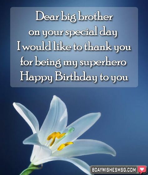 Dear big brother, on your special day I would like to thank you for being my superhero. Happy Birthday to you! 30 Birthday Wishes, Birthday Big Brother, Happy Birthday Big Brother, Birthday Brother In Law, Message For Brother, 30th Birthday Wishes, Happy Birthday Bestie, My Superhero, Birthday Wishes For Brother