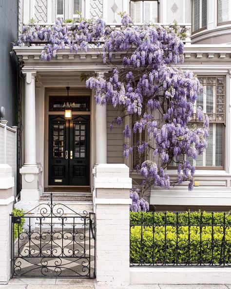 San Francisco in Bloom Kensington And Chelsea, Victoria Secrets, Notting Hill, House Goals, Front Garden, House Inspo, Wisteria, House Inspiration, My Dream Home