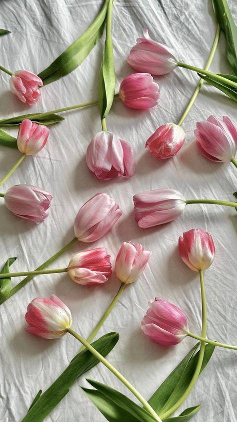 Pink And White Tulips, Wallpaper Edgy, Background Retro, Wallpaper Homescreen, Wallpaper Retro, Floral Wallpaper Iphone, Vintage Flowers Wallpaper, Easter Wallpaper, Boquette Flowers