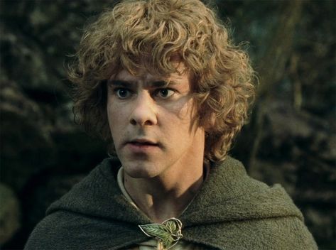 Merry Brandybuck, Lotr Characters, Merry And Pippin, Ring Icon, Two Towers, Frodo Baggins, The Two Towers, The Lord Of The Rings, Legolas