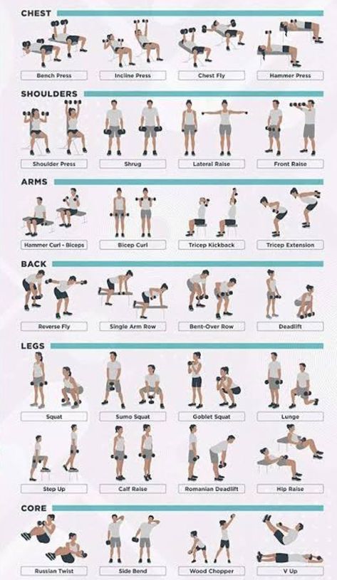 Gym Exercise Routines Workout Plans, Easy Gym Routine, Apartment Gym Workout, Gym Routine Women Workout Plans, Gym Workout Schedule, Weekly Gym Workouts, Body Weight Workouts, Dumbbell Workout Plan, Weight Workouts