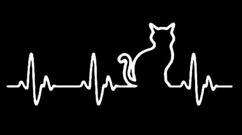 Cute Cat Cover Photos Facebook, Cat Cover Photo Facebook Aesthetic, Cats Cover Photo Facebook, Heartbeat Art, Chat Anime, Facebook Cover Photos Quotes, Cover Facebook, Cute Twitter Headers, Fb Cover Photos