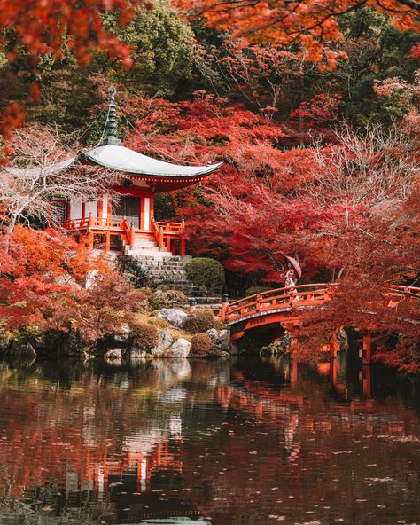 Daigo-ji Temple, Unreal Places, Kyoto Japan, Travel Trip, Instagram Inspo, Autumn Inspiration, Japan Travel, Kyoto, Temple