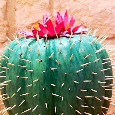 Taylor Gunn on Instagram: "#tbt to last year’s painted pumpkin! This year my son has requested we do a combo shark/ race car pumpkin 🤔 Send ideas please! #paintedpumpkins #cactus" Rainbow Pumpkin Painting Ideas, Horse Pumpkin Decorating, Football Pumpkin Decorating, Cactus Pumpkin Decorating, Flamingo Pumpkin Decorating, Patriotic Pumpkin Ideas, Styrofoam Pumpkin Ideas, Cactus Pumpkin Painting, Carvable Foam Pumpkins Ideas