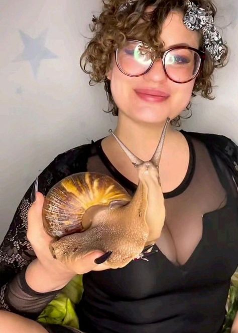 A SINGLE mum who used to be on benefits is now making six figures – breeding huge snails. Kris Buckley owns a snail farm with over 5,000 molluscs she documents online – making her the world’s first ‘snaifluencer’. She specialises in African land snails, a very large species whose shell alone can measure ten inches […] Big Snail Pet, African Giant Snail, African Land Snail, African Snail, Snail Farming, Giant African Land Snails, Giant Snail, Pet Snails, Six Figures