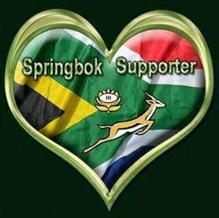 Springboks Rugby South Africa, Rugby Wallpaper, Springboks Rugby, Rugby Party, Go Bokke, B Letter Images, South African Rugby, Springbok Rugby, South African Flag