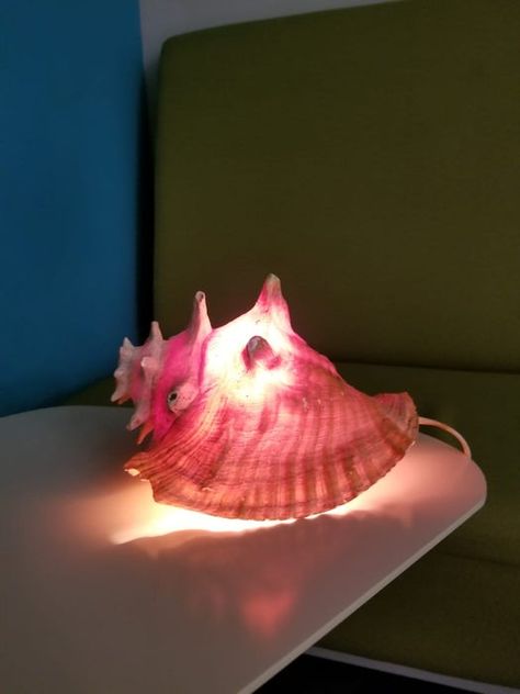 Simple Conch Shell Ambient Light : 6 Steps - Instructables Shell Lamp Diy, Conch Shell Crafts, Shell Lamps, Boho Lampshade, Cement Lamp, Shell Furniture, Bush House, Large Sea Shells, Shell Sculpture