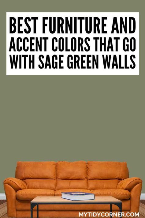 Burnt orange couch, sage green background and text overlay and the best furniture and accent colors that go with sage green walls. Sage Green Basement, Green Wall Accent, Blue Leather Couch, Accent Wall Paint Colors, Furniture Colors, Sage Green Wall, Green Accent Walls, Beige Throw Pillows, Light Blue Walls