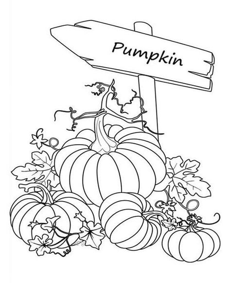 Fun Pumpkin coloring pages for your little one. They are free and easy to print. The collection is varied for different skill levels and... Pumpkin Coloring Sheet, Pumpkin Coloring, Garden Coloring Pages, Fall Coloring, Pumpkin Coloring Pages, A Coloring Page, Fall Coloring Pages, Pumpkin Colors, Halloween Coloring Pages