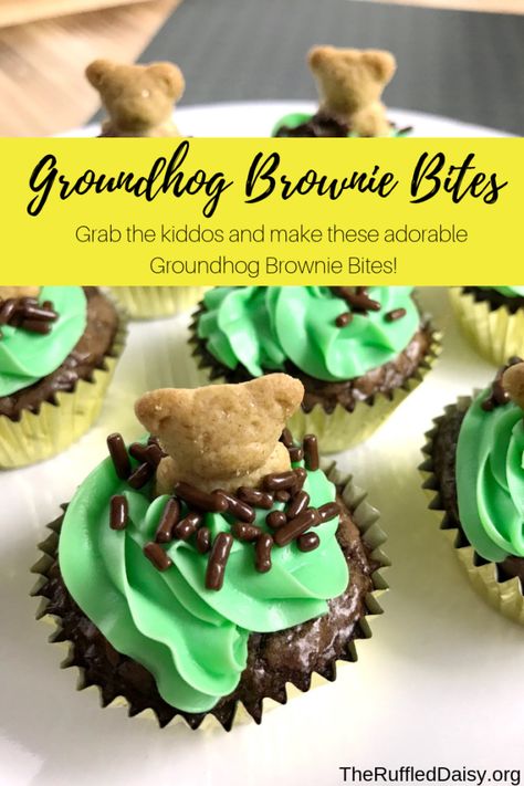 Quick and Easy Groundhog Brownie Bites - The Ruffled Daisy Groundhog Day Treats, Gail Gibbons, Graham Cookies, Teddy Grahams, Candy Sprinkles, Mini Muffin Pan, Brownie Bites, Brownie Batter, Groundhog Day