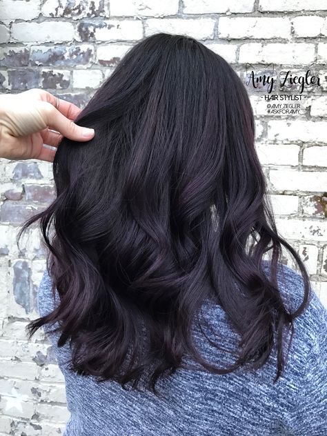 Deep dark brunette eggplant color by @amy_ziegler Eggplant Black Hair, Midnight Violet Black Hair Color, Black Violet Hair Color, Eggplant Hair Color Dark, Midnight Violet Black Hair, Blackberry Hair Color Dark, Eggplant Hair Color, Eggplant Colored Hair, Eggplant Hair