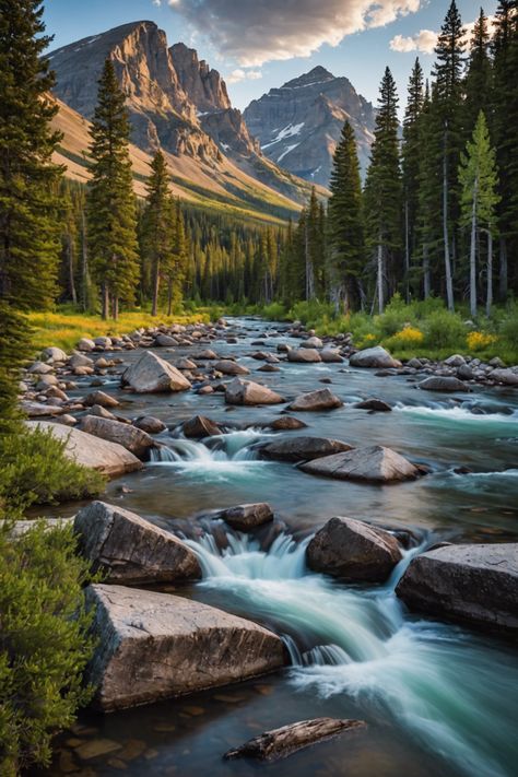 📸 Capture the Wild: Montana&#8217;s National Parks Photography Tours Montana Landscape, Montana National Parks, Lamar Valley, Landscape Reference, National Parks Photography, Types Of Swords, Photography Journey, Learning Photography, The Untamed