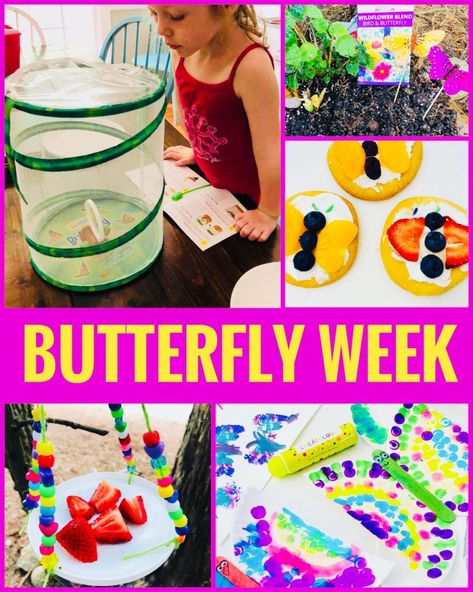 Butterfly Week Crafts and Activities for Kids - Fun theme for summer camp! Butterfly Themed Activities For Preschool, Butterfly Theme For Preschool, Butterflies For Kindergarten, Butterfly And Caterpillar Activities, Butterfly Week Preschool, Butterfly Theme Preschool Activities, Butterfly Lessons For Kindergarten, Montessori Butterfly Activities, Butterfly Lesson Plans For Toddlers