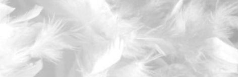 Cute White Banner Discord, Angel Aesthetic Banner, White Banner Aesthetic, Angelcore Aesthetic White, White Aesthetic Banner, Angel Banner, White Discord Banner, White Twitter Header, White Header