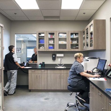 Wheat Ridge Animal Hospital - Animal Arts  Have pharmacy near front desk area for quick pick up Vet Practice, Staff Lounge, Medical Furniture, Hospital Pharmacy, Dental Office Design Interiors, Hospital Interior, Pharmacy Design, Store Layout, Dental Office Design