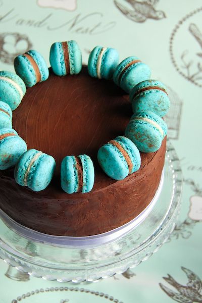 Cake with macaroons. Looks like like fun Macaroon Cake, Triple Chocolate Cake, Macaron Cake, Chocolate Cake Decoration, Blue Cakes, I Love Chocolate, Blueberry Cheesecake, Triple Chocolate, Love Chocolate