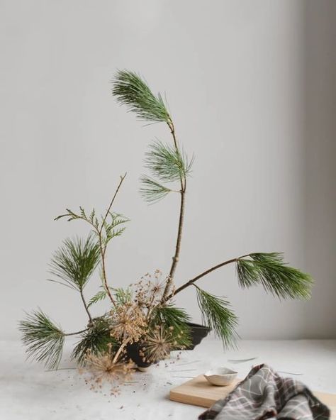 Winter Ikebana Arrangements, Winter Ikebana, Christmas Ikebana, Ikebana Sogetsu, Ikebana Arrangements, Flower Inspiration, Concrete Crafts, Christmas Arrangements, Winter Flowers