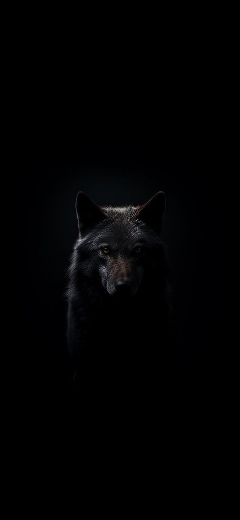 Wolf Wallpapers For Phone, Aesthetic Wolf Wallpaper, Wolf Wallpaper Dark, Dogs Aesthetic Dark, Wolf Wallpaper Aesthetic, Wolf Aesthetic Wallpaper, Black Wolf Tattoo, Iphone Wallpaper Wolf, Alpha Wallpaper