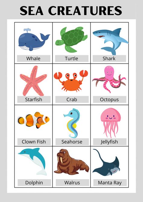 Sea animals, sea creatures, sea animals flash cards, water animals, water creatures, type of fishes, sea animals for preschool, sea animals toddlers Under Water Animals Ocean Life, Animals In The Water Preschool, Land And Sea Animals Preschool, Ocean Animals Poster, Ocean Animal Poster, Animals That Live In Water, Sea Animals For Preschoolers, Water Animal Activities For Preschool, Sea Animals Kindergarten