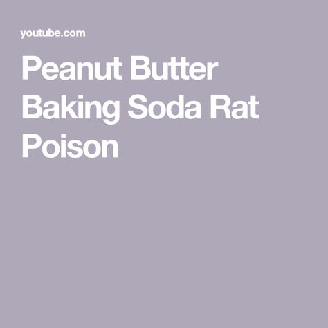 Peanut Butter Baking Soda Rat Poison Natural Rat Poison, Kill Rats Fast, Rat Poison Diy Baking Soda, Peanut Butter Baking, Killing Rats, Rat Poison, Diy Baking, Rats, Baking Soda