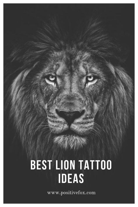 Lion Tattoo Meaning – Lion Tattoo Ideas for Men and Women with Photos|#tattoo #handtattoo #tattoos #tattooideas 1164 Lion Tattoo Ideas For Men, Lion Meaning, Lion Tattoo Meaning, Lion Tattoo Ideas, Small Lion Tattoo, Photos Tattoo, Globe Tattoos, Vogel Tattoo, Tattoo Lion