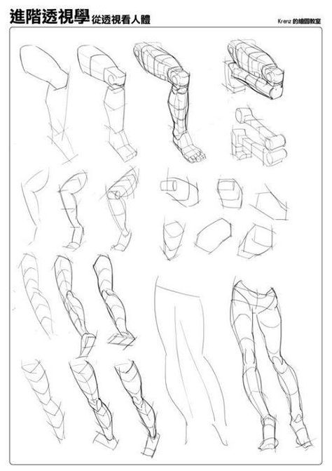 Krenz Cushart, Leg Anatomy, Drawing Legs, Anatomy Tutorial, Body Drawing Tutorial, Human Anatomy Drawing, Human Figure Drawing, Human Anatomy Art, Anatomy Sketches