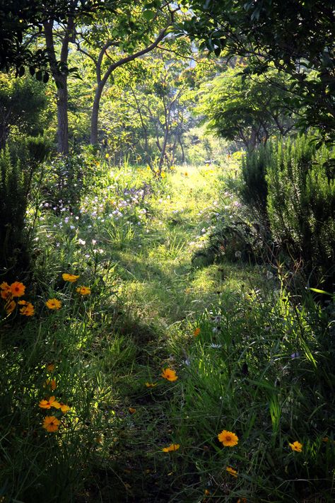 Trees And Flowers, Have Inspiration, Natural Scenery, Green Gables, Alam Yang Indah, The Grass, Nature Aesthetic, Dream Garden, Nature Beauty