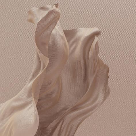 size: 16x16in Photographic Print: Elegant Floating Beige Textile in Air, Cloth Dynamic Abstract Background, Fabric Fly 3D Rendering by Daria Cherentaeva : Flowing Aesthetic, Tool Fabric, Drape Aesthetic, Clothing Material Fabrics, Fabric Editorial, Tela Aesthetic, Plush Fabric, Elegant Fabric, Floating Fabric