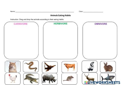 Animals And Their Food Worksheet, What Animals Eat Worksheet, Animal Needs Worksheet, Needs Of Animals Worksheet, Where Do Animals Live Worksheet, Animal Eating, Early Childhood Education Resources, Science Vocabulary, Social Emotional Activities