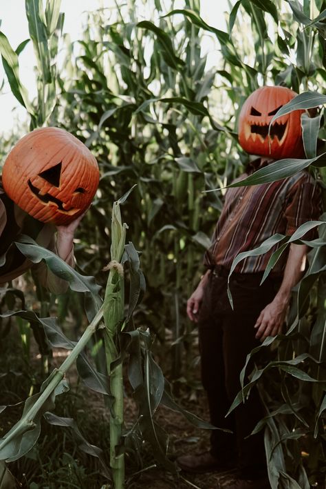 Pumpkin On Head Picture, Halloween Photoshoot Pumpkin Head, Pumpkin Head Photoshoot Ideas, Pumpkin Head Aesthetic, Halloween Pumpkin Head Photoshoot, Pumpkin Head Pictures, Halloween Pumpkin Photoshoot, Pumpkin On Head, Pumpkin Head Photo Shoot