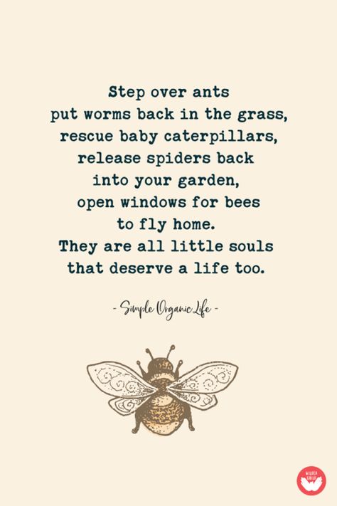 Kindergarten Montessori, I Love Bees, Vie Motivation, Garden Quotes, Low Waste, Wall E, Save The Bees, Favorite Words, Back To Nature