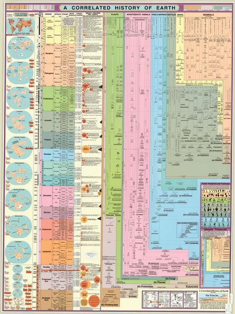 Geography Aesthetic Art, Earth Grid, Geologic Time Scale, Survival Skills Emergency Preparedness, Ley Lines, Boat Navigation, History Of Earth, History Infographic, Visual Map