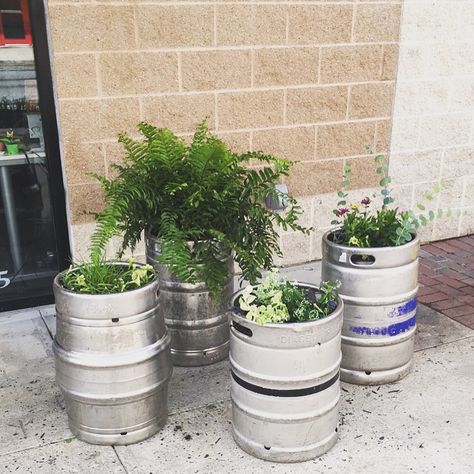 We re-purposed beer kegs into planters for outside of our office! Under Bar Lighting Ideas, Small Beer Garden, Beer Keg Ideas, Beer Garden Design, Beer Garden Ideas, Brewery Decor, Brewery Ideas, Craft Beer Shop, Brewery Design