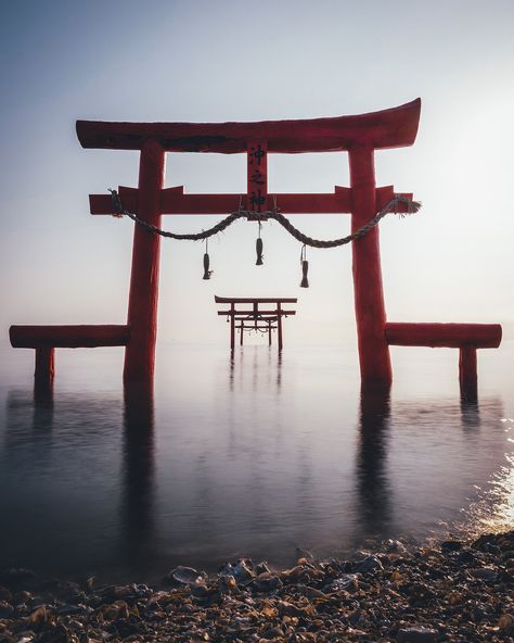 A tori gates indicates the entrance to the sacred realm. Its suggestive power is amplified by the purity of the still water. This hypnotic image is from photographer Takashi Yasui. Check out more of his work at takashiyasui.com. Tori Gate, Japanese Shrine, Japan Landscape, Torii Gate, Japan Photography, Sacred Architecture, Japan Culture, Cultural Architecture, Japan Aesthetic