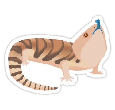 Who doesn’t love a good legsnake? This curious sausage lizard is based off of my own Northern blue tongue skink. • Also buy this artwork on stickers, apparel, phone cases, and more. Blue Tounged Skink, Sketchbook Stickers, Tobias Funke, Gravity Falls Journal, Blue Tongue Skink, T Love, Lizards, Hardcover Journals, Astronomy