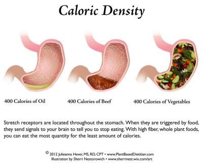 Caloric density - it is SIMPLE and delicious to eat this way, and makes so much sense! Caloric Density, Muscle Building Foods, Fat Loss Foods, High Fiber Foods, Lose 30 Pounds, Diet Vegetarian, Fiber Foods, Vegan Diet, Plant Based Diet