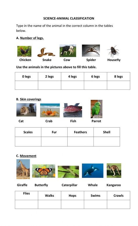 Animal Adaptations Worksheet, Classification Of Animals Worksheet, Animal Classification For Kids, Animals Classification, Animal Classification Activity, Animal Classification Worksheet, Classification Of Animals, Resturant Menu, Grade 3 Science