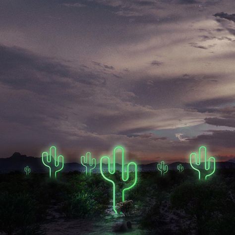 Cactus neon light on sale for a limited time! 🌵 Neon Desert, Neon Gods, Neon Garden, Neon Retro, Guerilla Marketing, Patio Roof, Global Citizen, Casino Theme, Going On A Trip