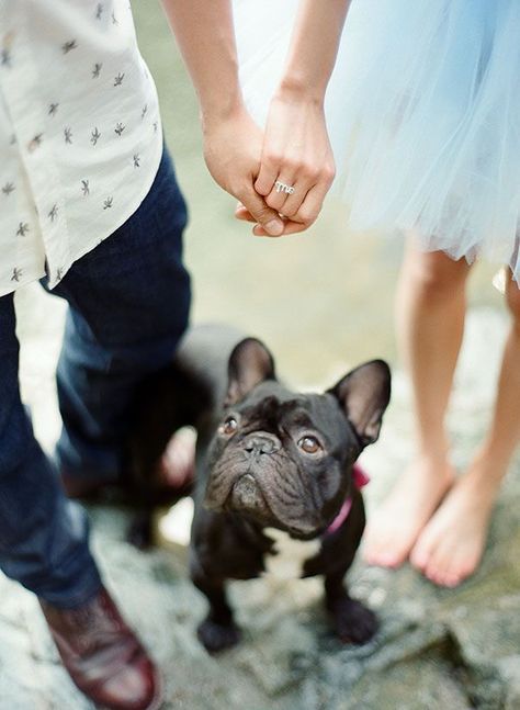 Engagement Photos Pets, Engagement Announcements, Engagement Announcement Photos, Photos With Dog, Romantic Engagement Photos, Engagement Pictures Poses, Foto Tips, Anais Nin, Engagement Announcement